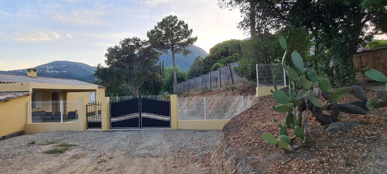 Agreable Rez De Jardin Avec Piscine Et Jacuzzi Apartment Cervione Bagian luar foto